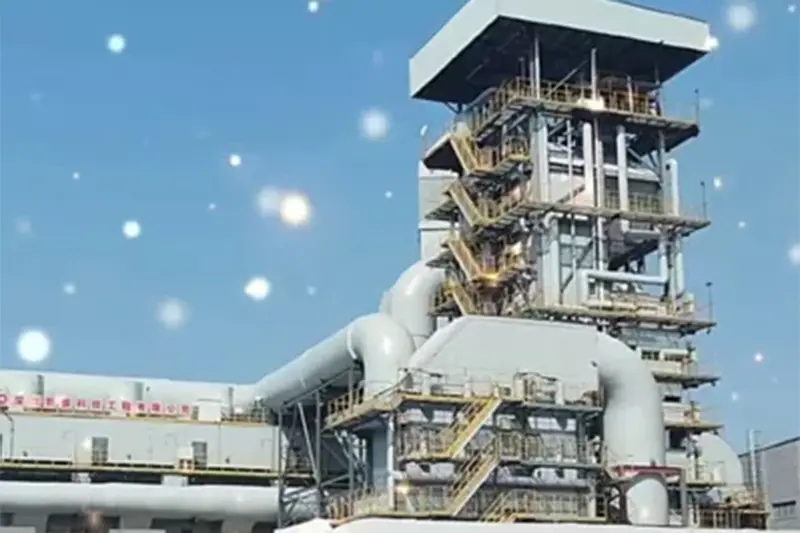 The Cases of Waste to Energy Plant