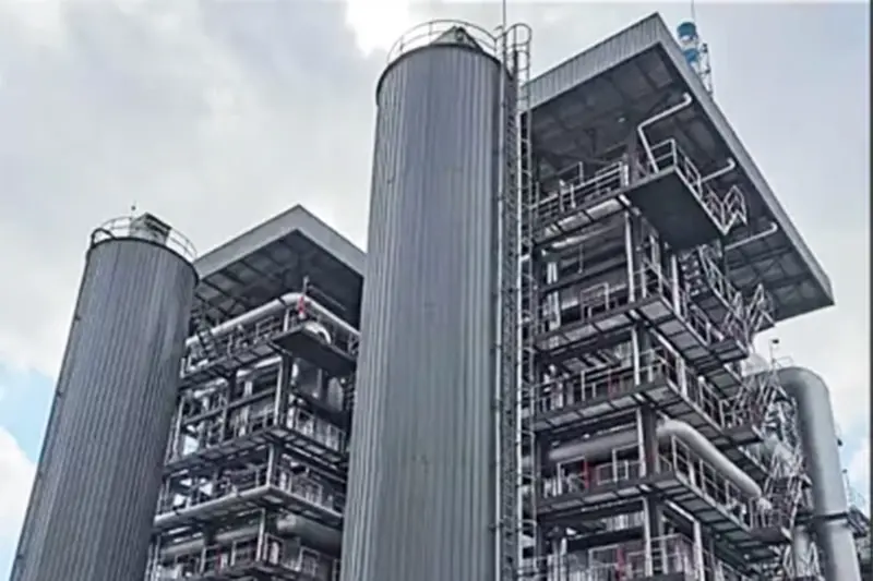 The Cases of Waste to Energy Plant