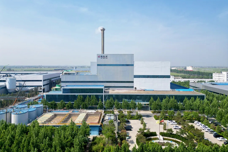 The Cases of Waste to Energy Plant